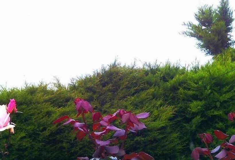 膳宿费 Maggies Cottage Nuwaraeliya