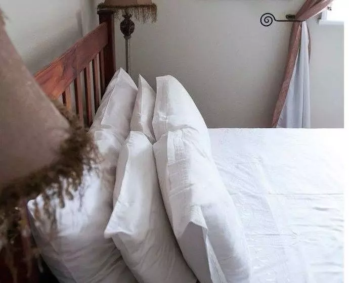 ペンション Shady Pines Guest House