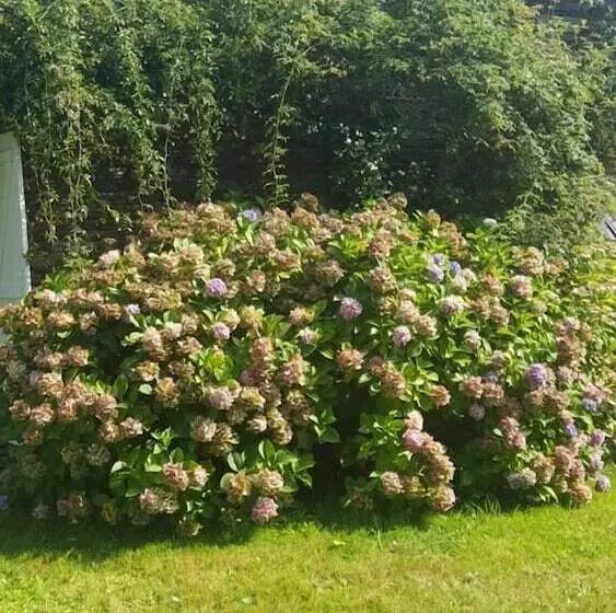 Aamiaismajoitus (B&B) Chambres D'hotes La Merais