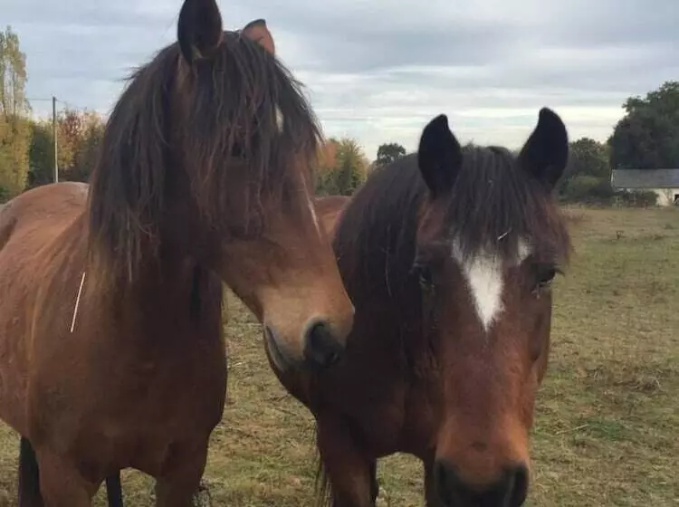 Aamiaismajoitus (B&B) Chambres D'hotes La Merais