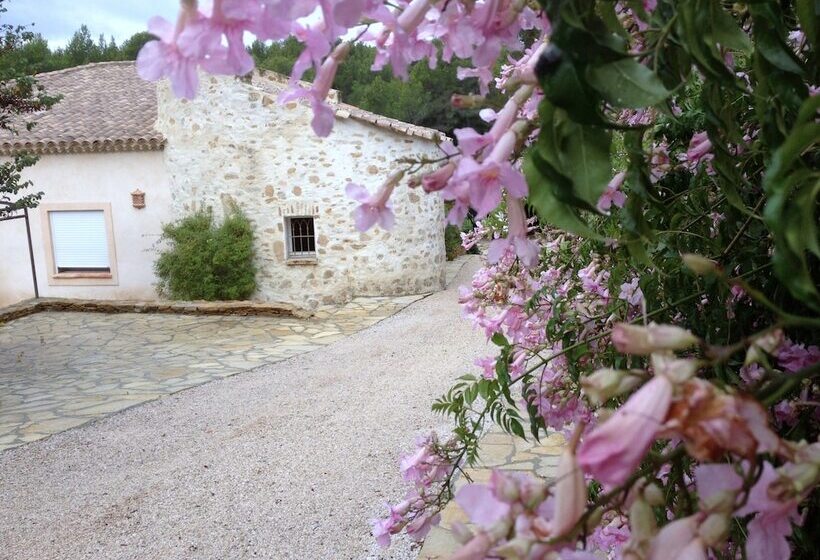 Bed and Breakfast La Désirade Chambres D Hôtes En Provence