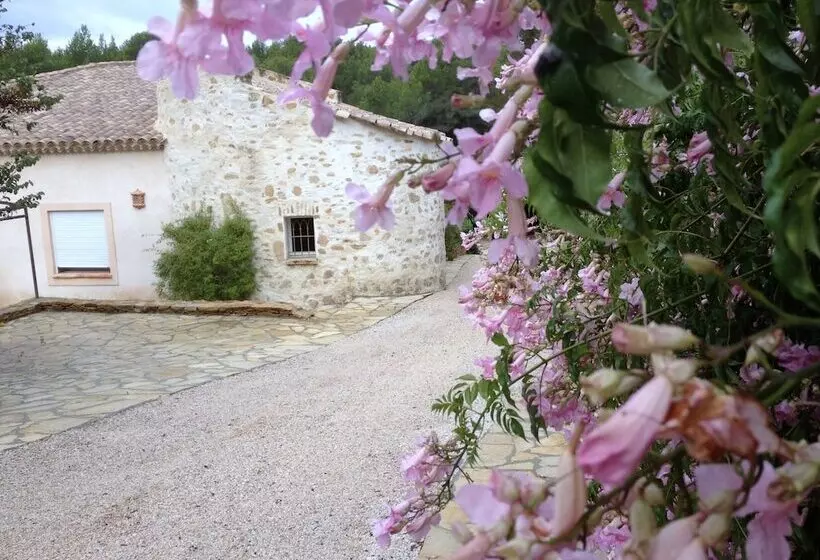 Aamiaismajoitus (B&B) La Désirade Chambres D Hôtes En Provence