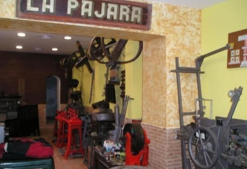 Hostal Ciudad Antigua