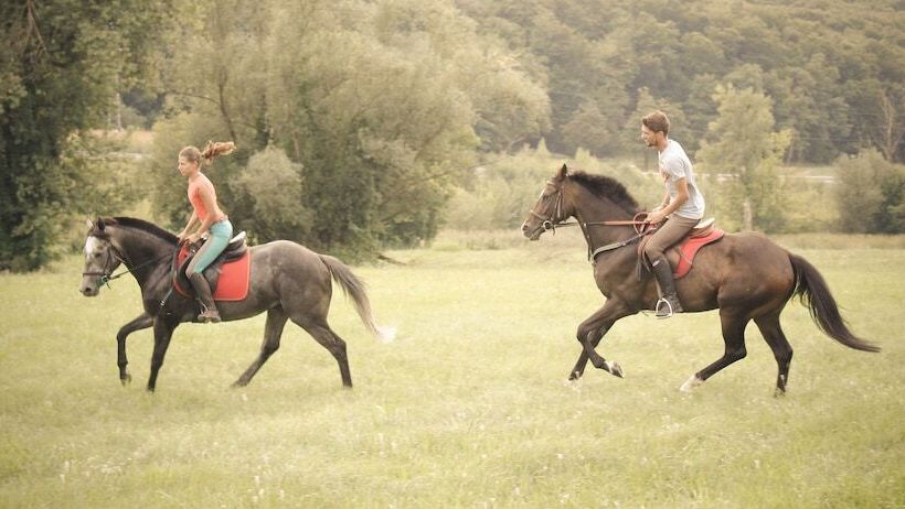 پانسیون Farm Stay Zevnik