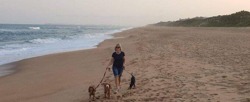 פנסיון Hillside Guesthouse Umhlanga