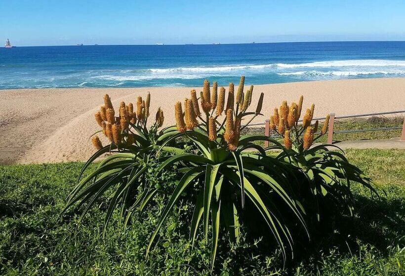 פנסיון Hillside Guesthouse Umhlanga