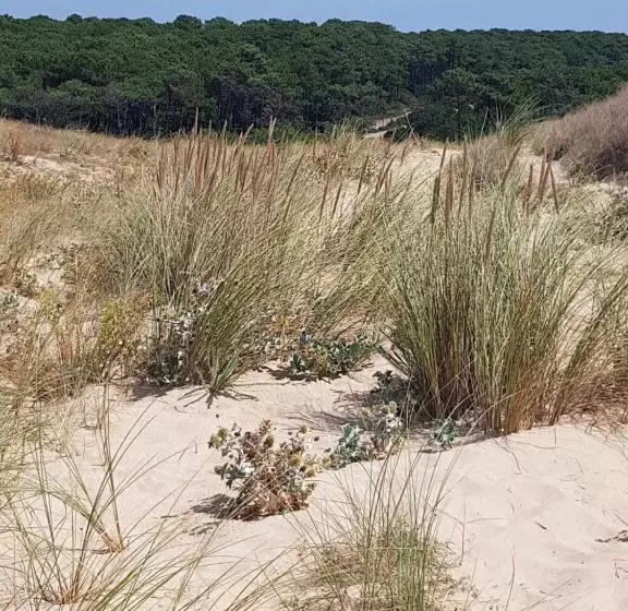 ペンション Le Mas Des Landes