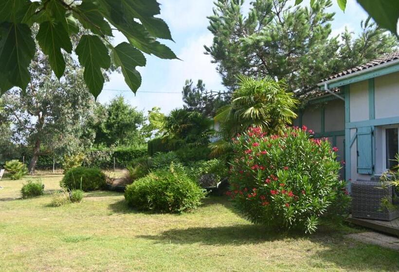 펜션 Le Mas Des Landes