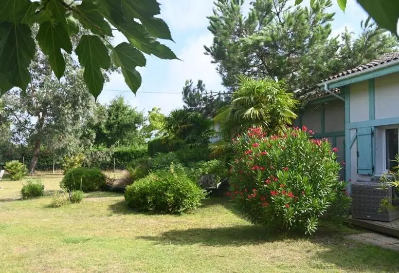 ペンション Le Mas Des Landes