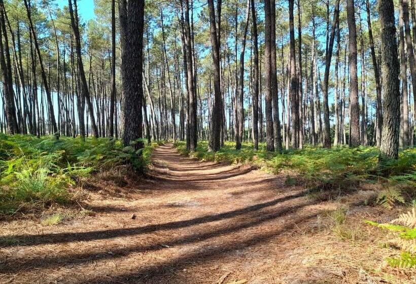 펜션 Le Mas Des Landes