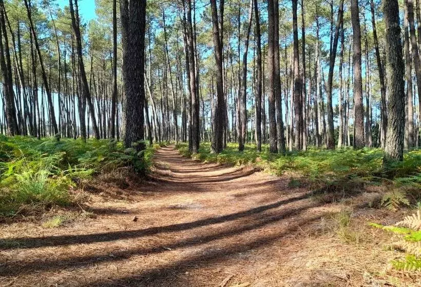 ペンション Le Mas Des Landes