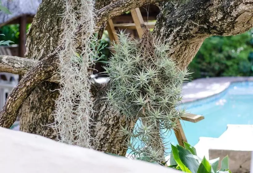 Majatalo Panorama Guest House