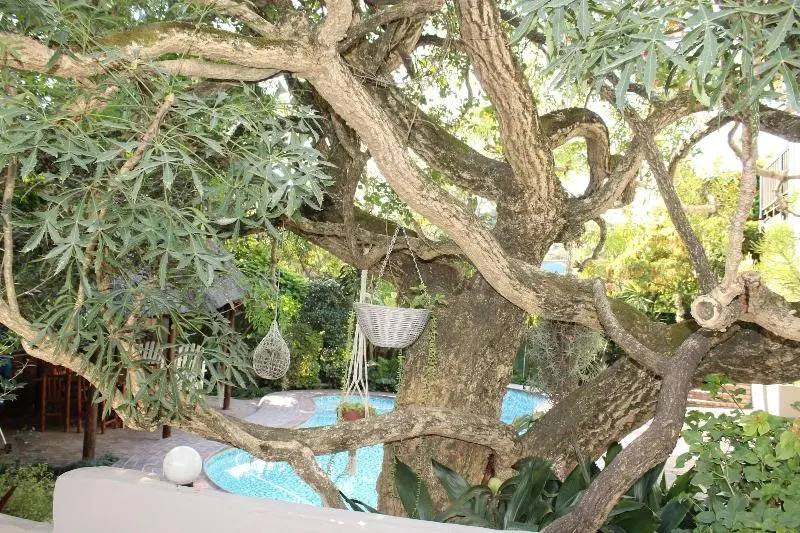 ペンション Panorama Guest House