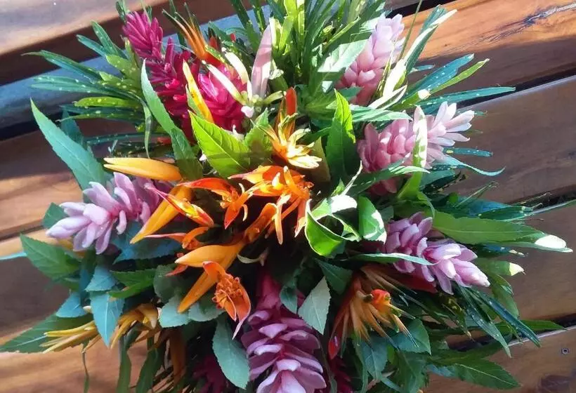 هاستل Coco Komba Lodge