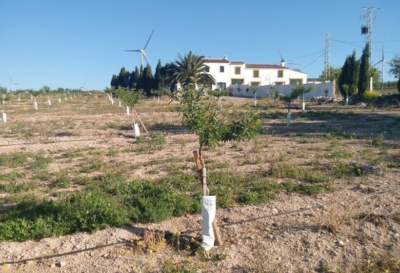 Bed and Breakfast Alojamiento Rural El Oregano