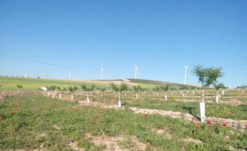 ベッドアンドブレックファースト Alojamiento Rural El Oregano