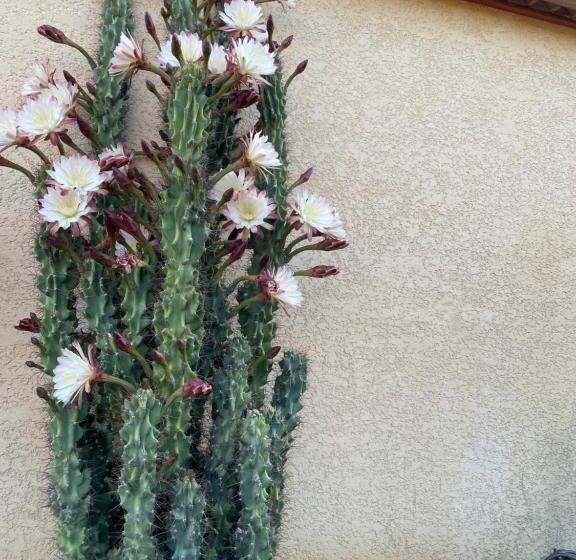 ベッドアンドブレックファースト Chambre Avec Charme