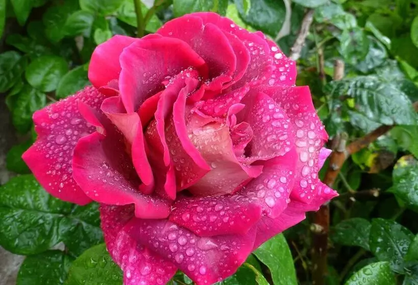 Aamiaismajoitus (B&B) Le Manoir De Magneville