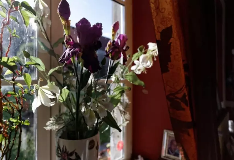 Aamiaismajoitus (B&B) Le Manoir De Magneville