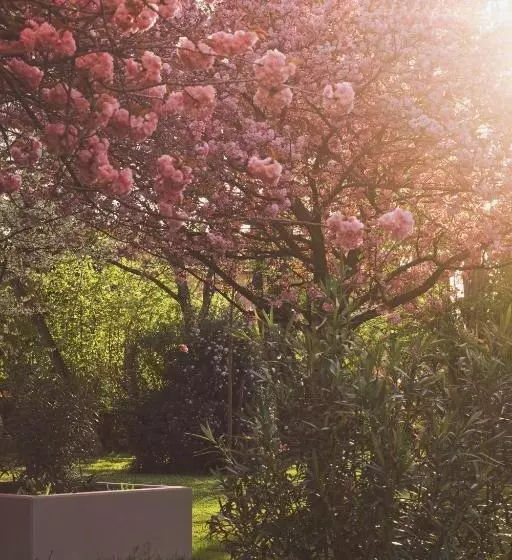 Aamiaismajoitus (B&B) Locanda San Martino