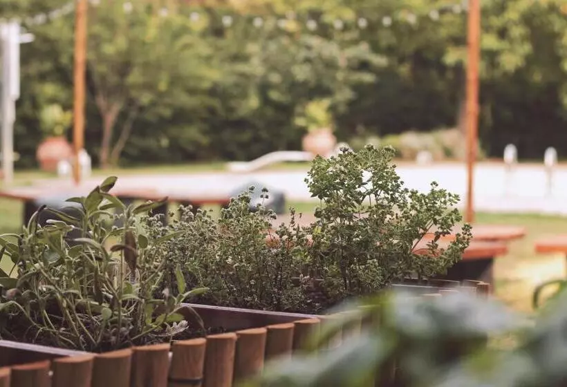 Aamiaismajoitus (B&B) Locanda San Martino