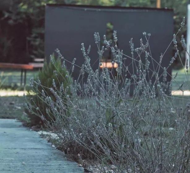 Aamiaismajoitus (B&B) Locanda San Martino