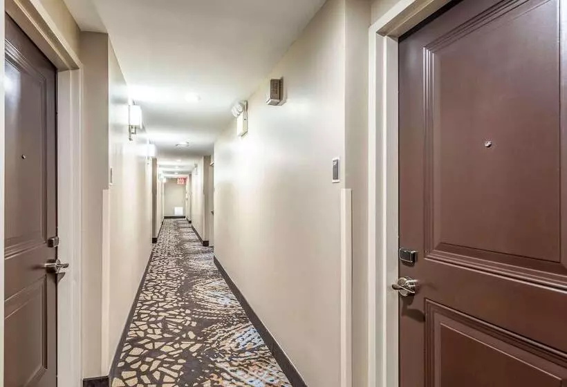Van Wyck Hotel & Suites Near Jfk Airport