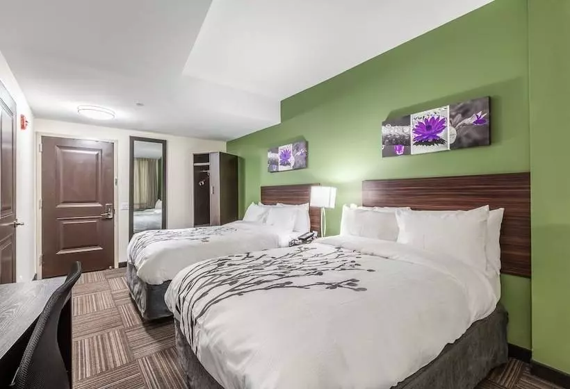 Van Wyck Hotel & Suites Near Jfk Airport