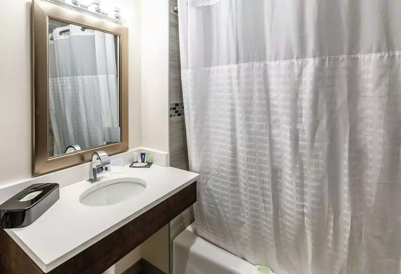 Van Wyck Hotel & Suites Near Jfk Airport
