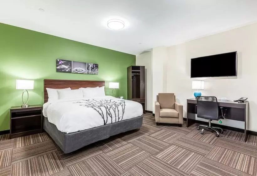 Van Wyck Hotel & Suites Near Jfk Airport