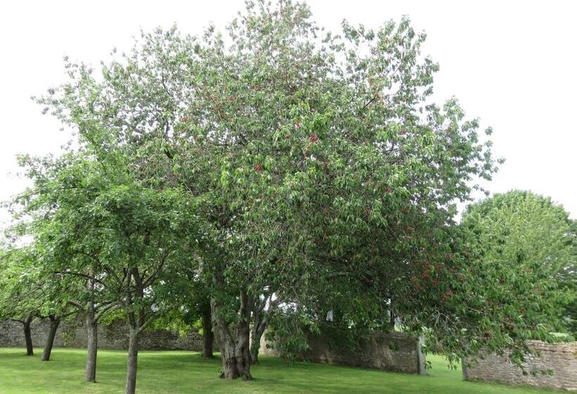 Le Manoir De Placy Bed And Breakfast