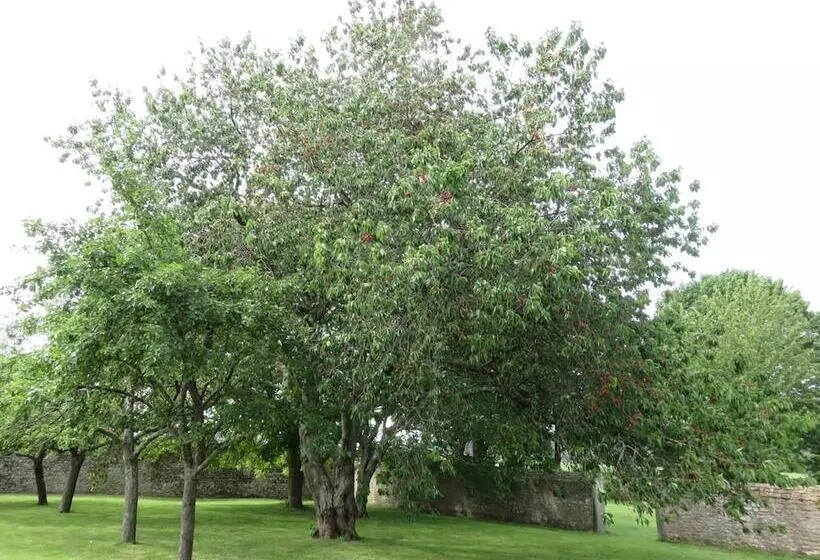 Le Manoir De Placy   Bed And Breakfast