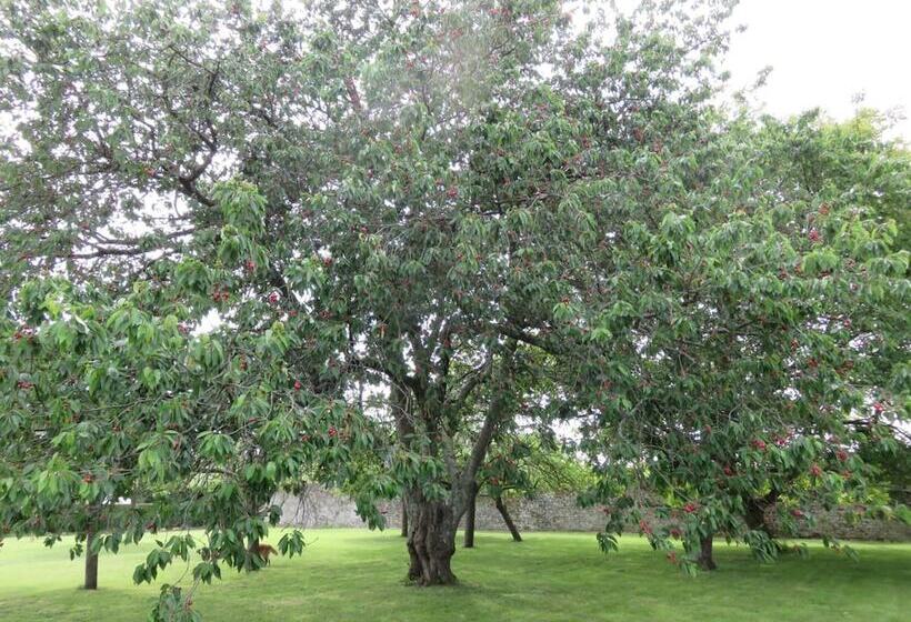Le Manoir De Placy Bed And Breakfast