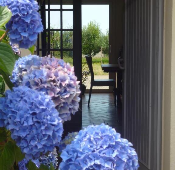 بنسيون Chambres D Hôtes De Ty Guen