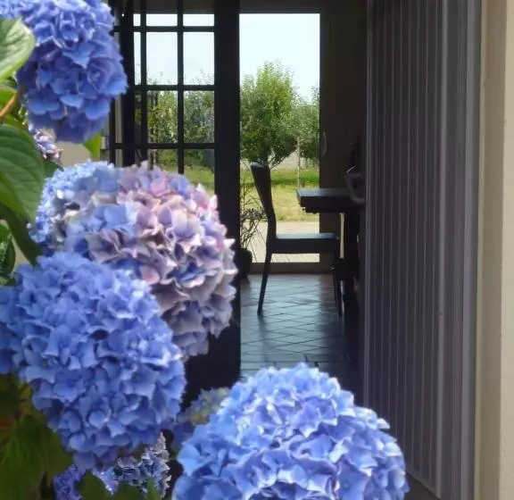 ペンション Chambres D Hôtes De Ty Guen