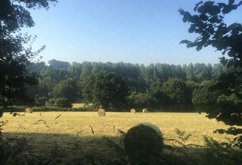 ペンション Chambres D Hôtes La Clef Des Champs