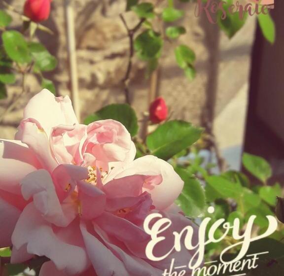 פנסיון La Roseraie