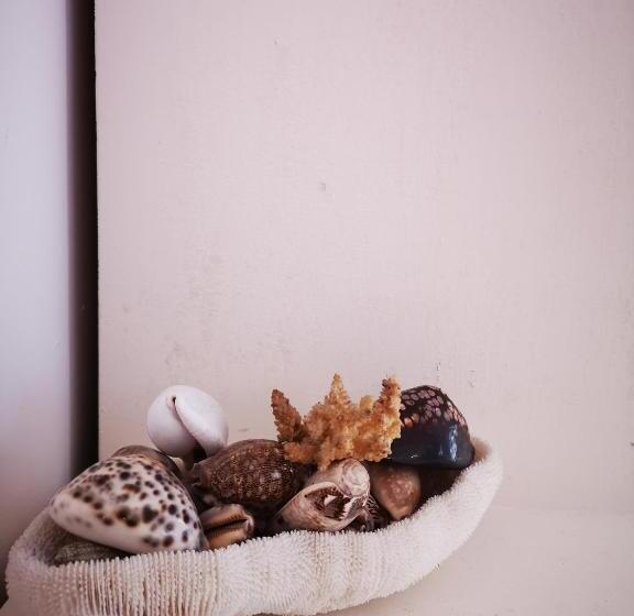 פנסיון La Roseraie