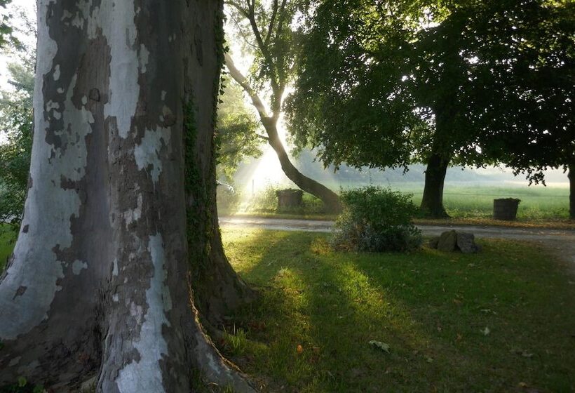 Bed and Breakfast Château Le Souley