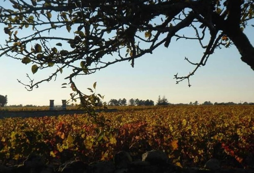 Bed and Breakfast Château Le Souley