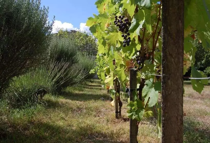 Aamiaismajoitus (B&B) Château Le Souley