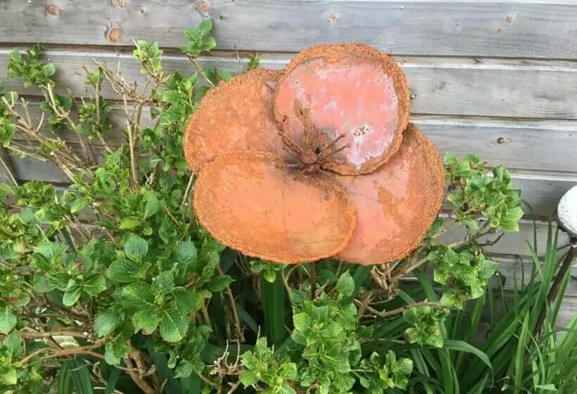 Aamiaismajoitus (B&B) Domaine Des Papeteries