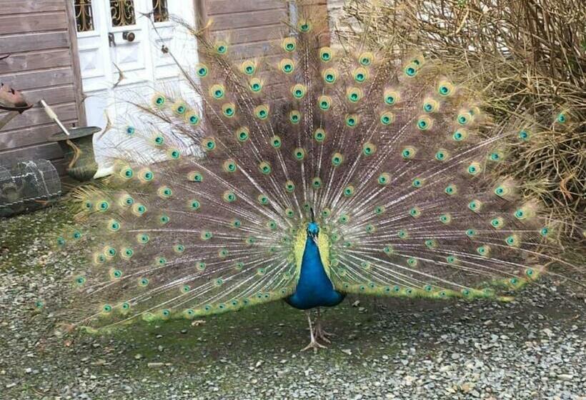 ベッドアンドブレックファースト Domaine Des Papeteries