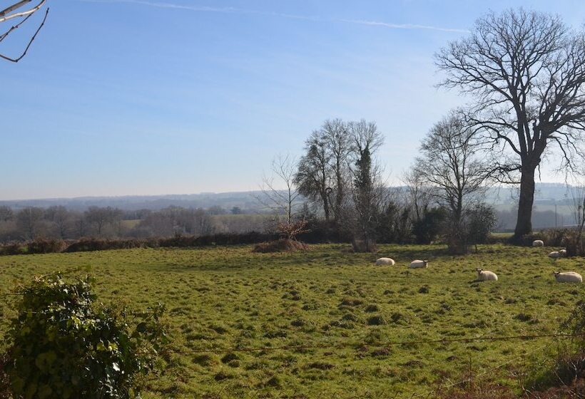 Bed and Breakfast Logis De Chezelles