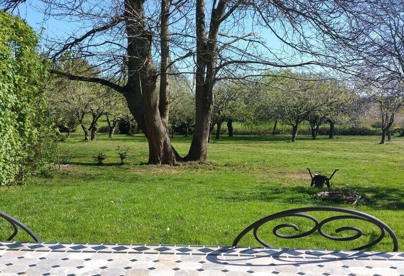 Bed and Breakfast Logis De Chezelles