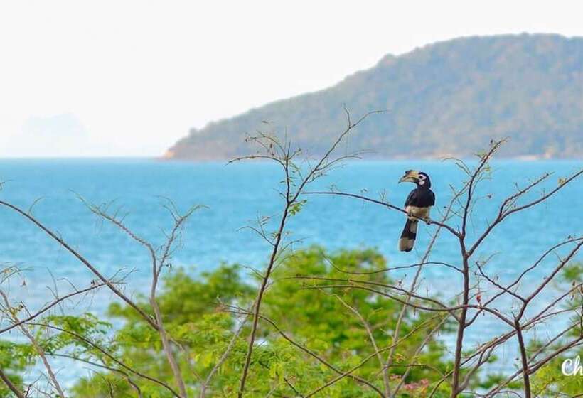 فندق Koh Phaluai Eco Resort