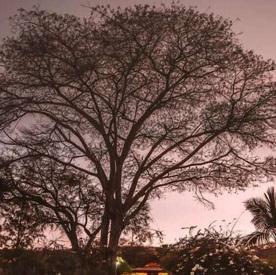 ホテル Utengule Coffee Lodge