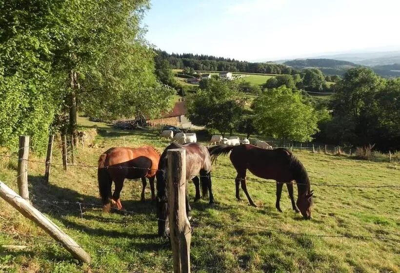 ペンション Ferme Des Entremains