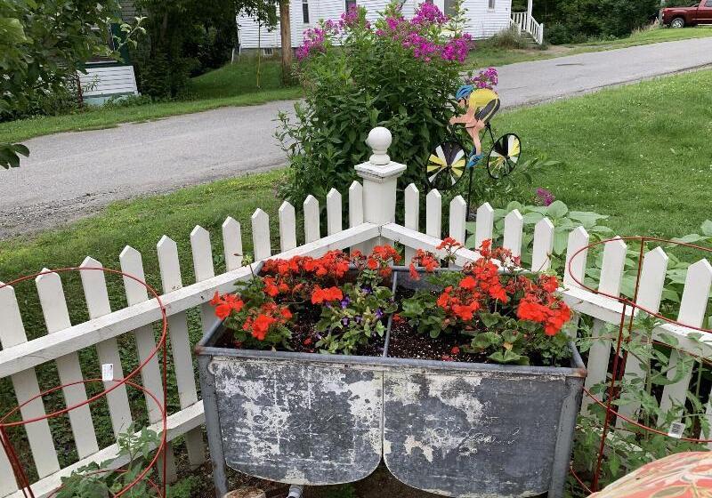 بنسيون Freedom House B&b