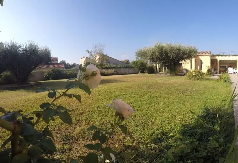 Majatalo La Casa Nert